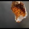 20120220_134